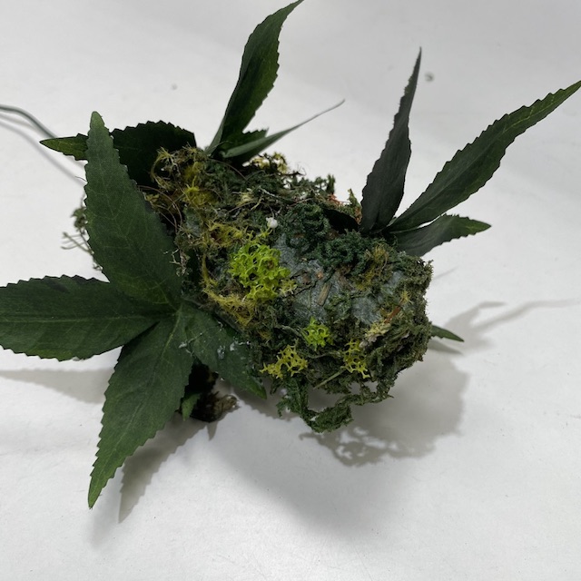 GREENERY, Marijuana Plant - Head